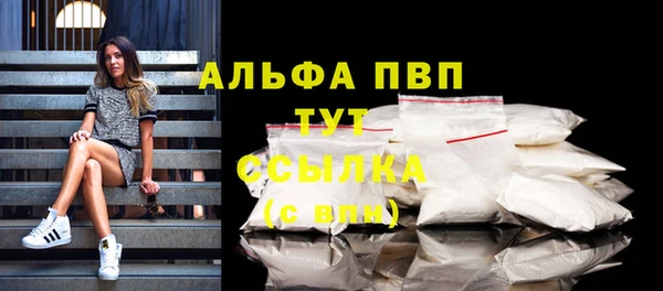 гидра Корсаков