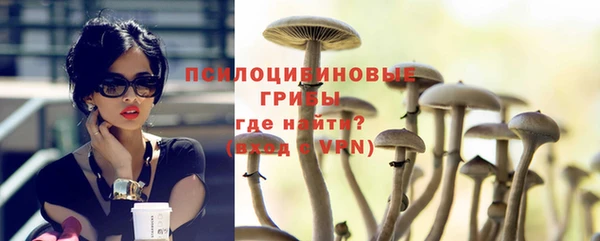 спайс Кулебаки