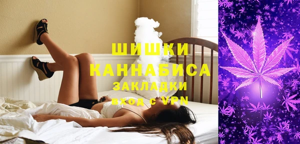 гидра Корсаков