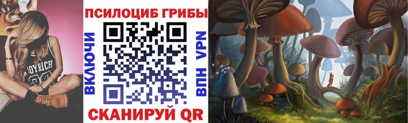 маркетплейс состав  Бердск  Галлюциногенные грибы MAGIC MUSHROOMS 