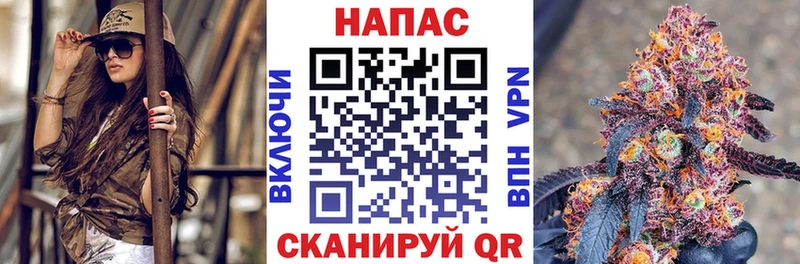 Канабис гибрид  Бердск 